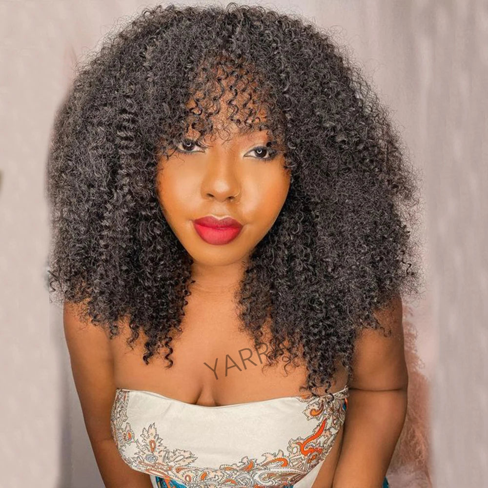 Afro Kinky Curly Human Hair Wigs Mareeyama Moments.