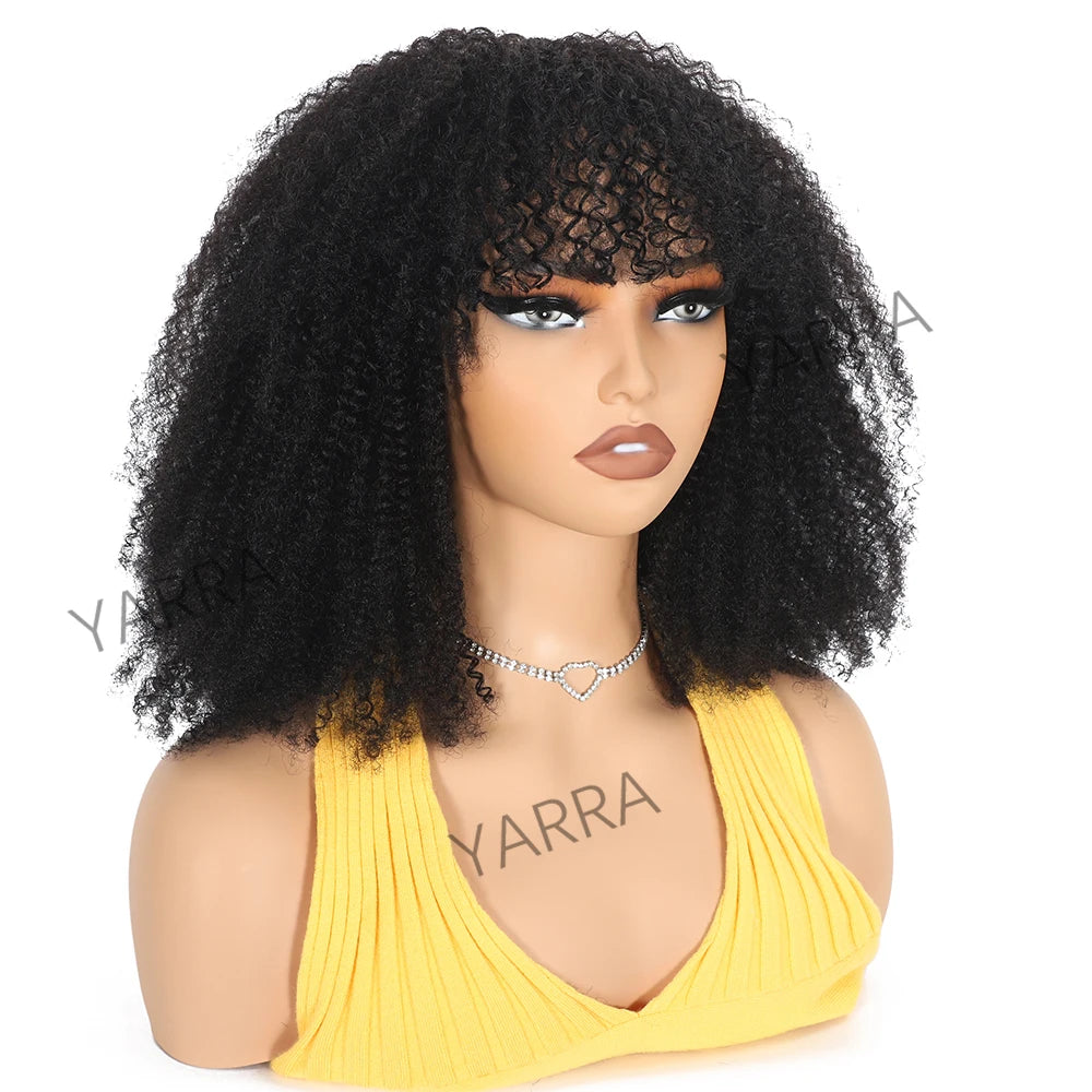 Afro Kinky Curly Human Hair Wigs Mareeyama Moments.