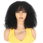 Afro Kinky Curly Human Hair Wigs Mareeyama Moments.