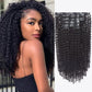 Kinky Curly Seamless Clip Ins Hair Extensions
